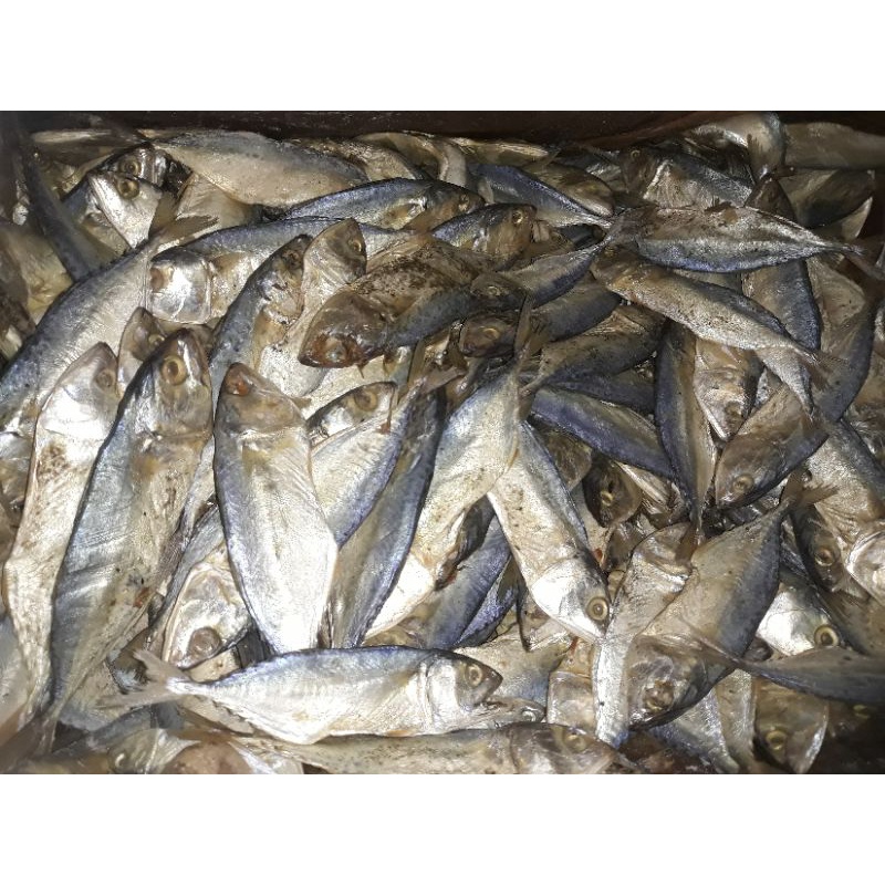 

IKAN ASIN PEDA KECIL / ASIN KANAREN