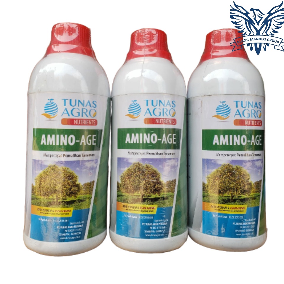 Pupuk Amino-Age 500ML Nutrisi Untuk Mempercepat Pemulihan Tanaman Dari Tunas Agro Persada
