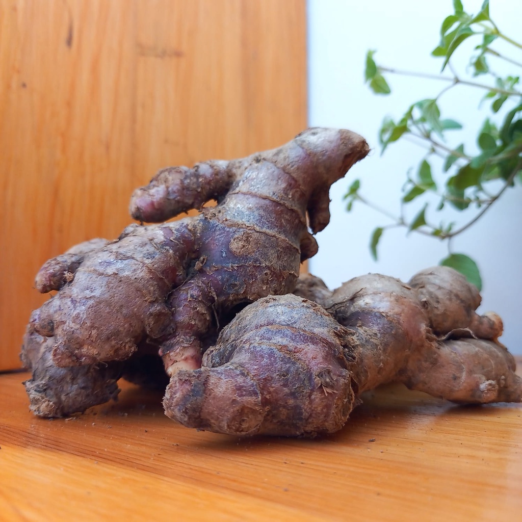 

Jahe Merah 200gr, Rempah Masakan