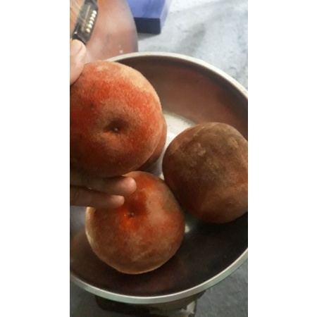 

4 kg buah bisbul