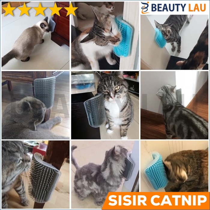 CATNIP KUCING SISIR CATNIP TEMPEL CATMINT MAINAN RELAKSASI KUCING MURAH DI RUMAH