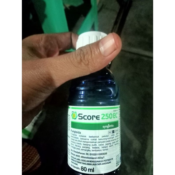score 80ml