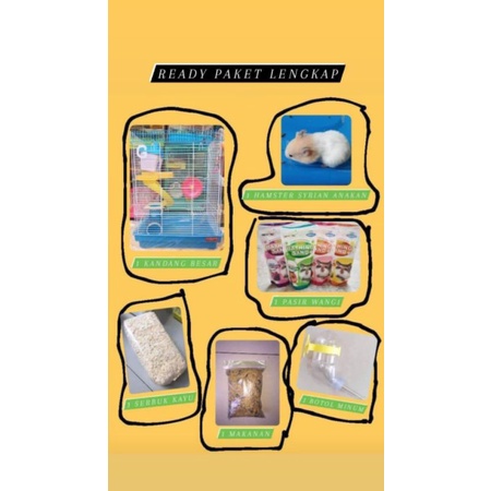 Paket Hamster Syrian 1 + kandang besar 1 + pasir wangi 1 + serbuk kayu 1 + makanan 1 + botol minum 1