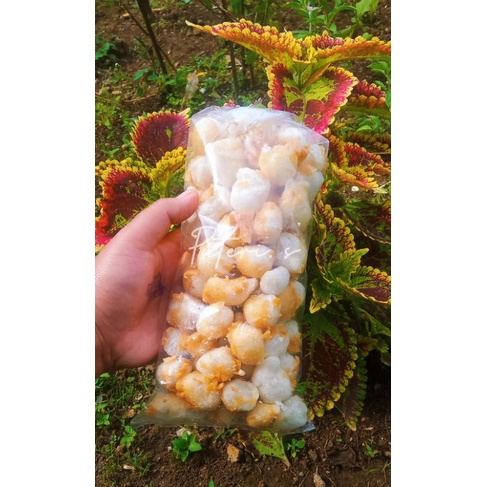 

Siomay kriuk mini ori gurih