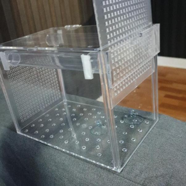 Box kotak acrylic akrilik karantina / aklimasi ikan P 23 L 13 T 15