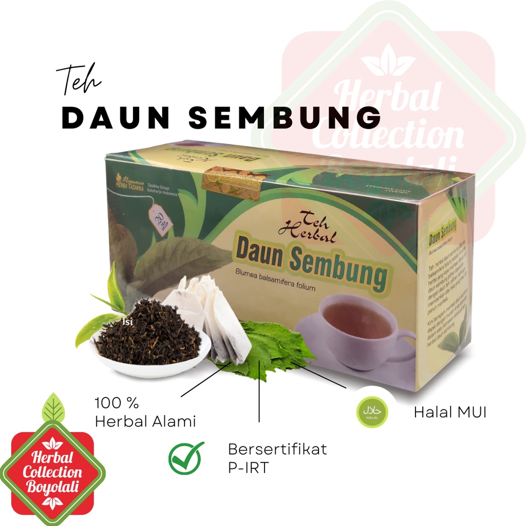 

Teh herbal Daun Sembung untuk meredakan maag dan batuk Obat Lambung dan Ginjal Teh Daun Sembung Herbal Tazakka isi 20 Kantung Teh Celup HALAL dan Sudah BPOM