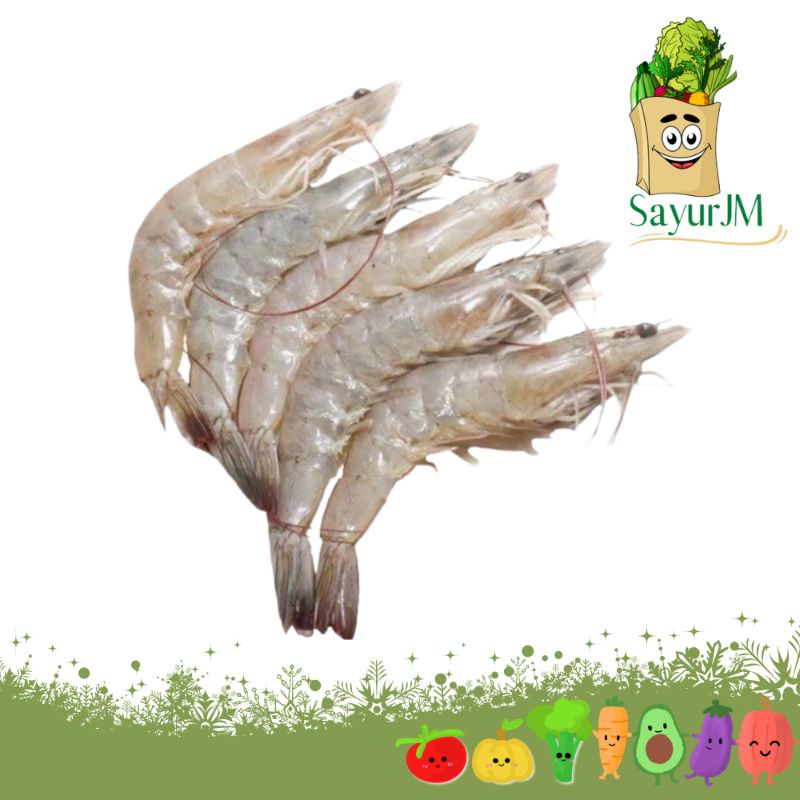 

SayurJM - Udang Peci Segar 250gr / 500gr / Udang segar / Daging segar