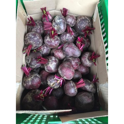 

ㅀ Buah bit / organic beet root FRESH NEW 2181 ✿
