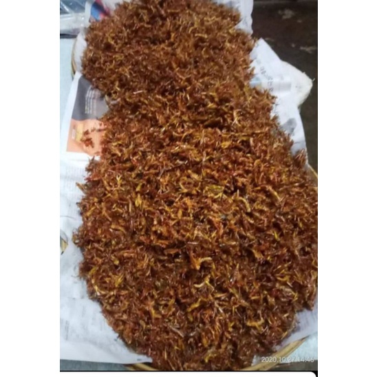 BELALANG GORENG KEMASAN 100GR