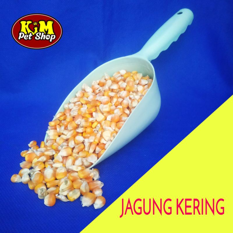 

Jagung kering