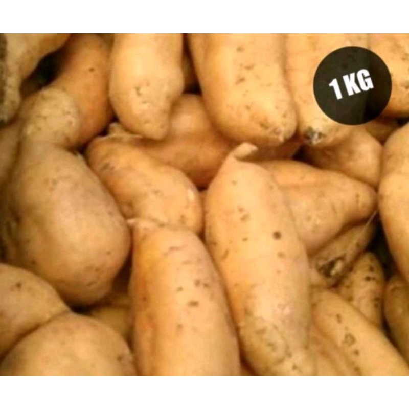 

Ubi cilembu madu organik (pilus) potato 1 kg