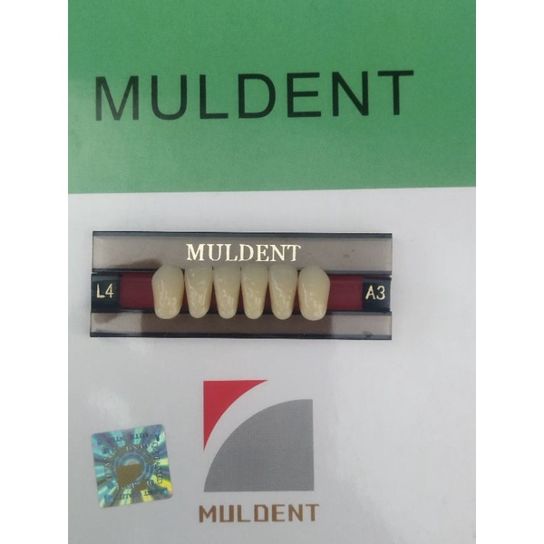 GIGI PALSU / GIGI MULDENT - DEPAN BAWAH / PER BARIS ISI 6PCS / UKURAN L4 : A3