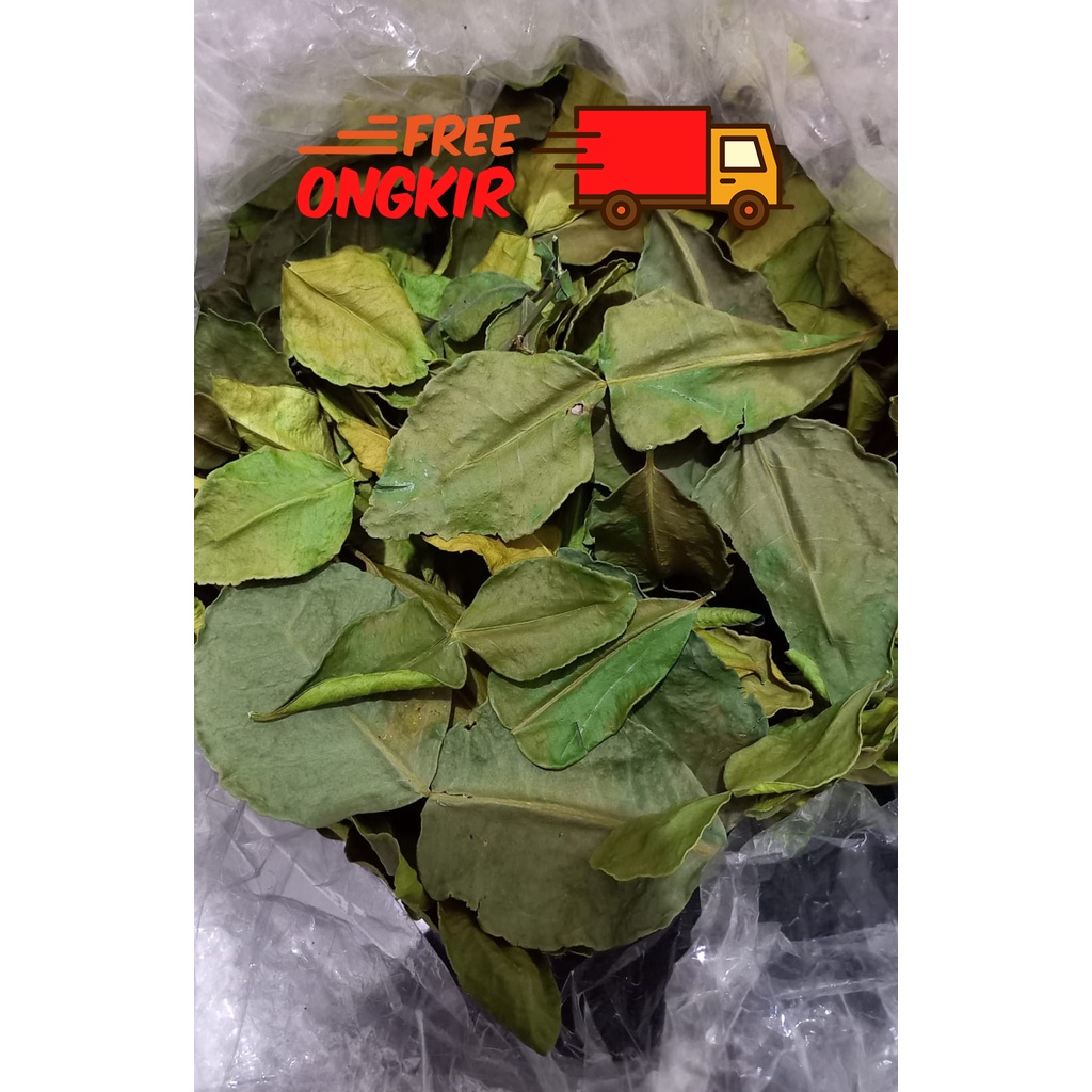 

Daun Jeruk Kering / Daun Jeruk Purut Kering / Dried Kaffir Lime Leaves 1KG Original 100%