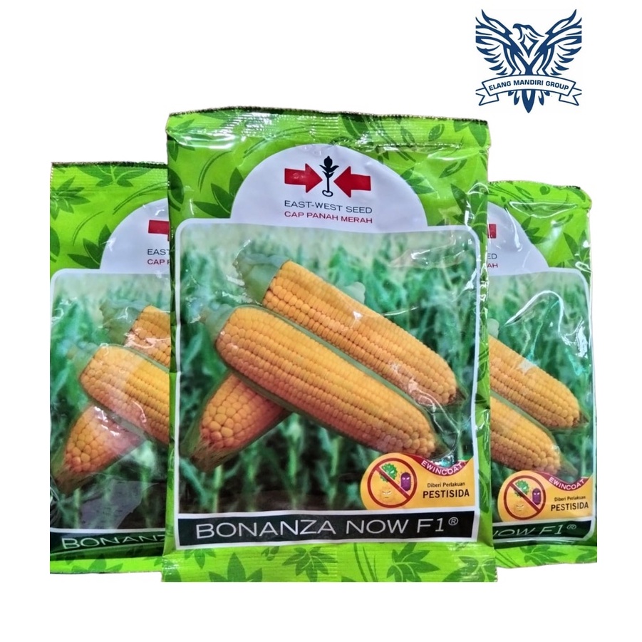 BENIH BIBIT JAGUNG MANIS BONANZA NOW  F1 1800 Biji 100% Original Cap Panah Merah