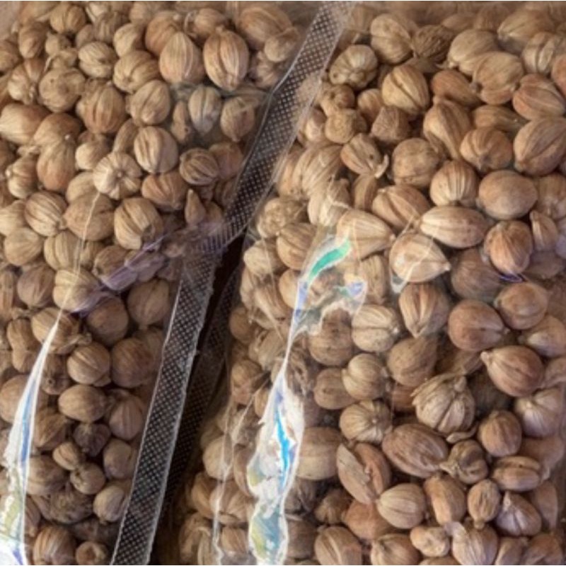 

Kapulaga 1Kg Kapolaga Jawa