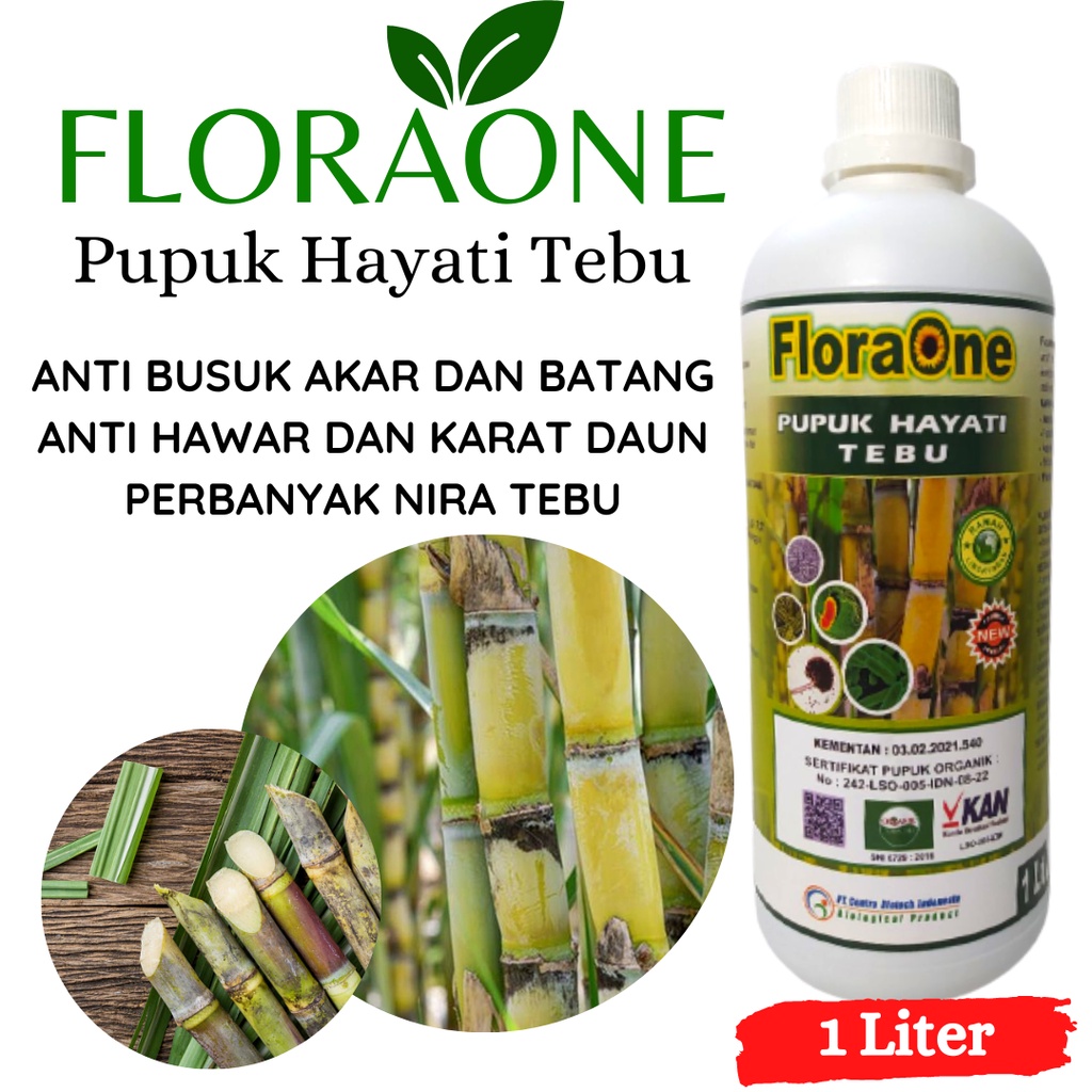 Pupuk Tebu Cair Awal Tanam, Pupuk Tebu Anti Busuk Batang Dan Akar