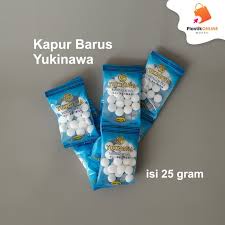 KAPUR BARUS YUKINAWA/CAMPER