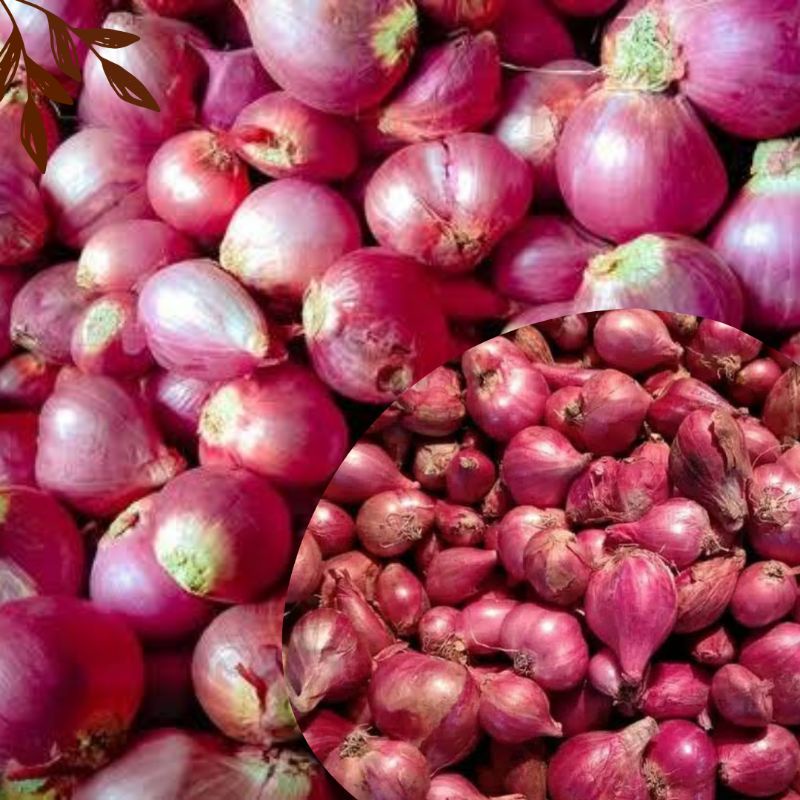 

bawang merah 1kg
