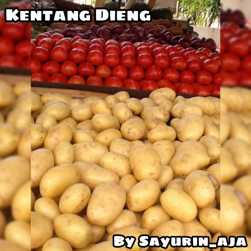 

Kentang Dieng 250gr