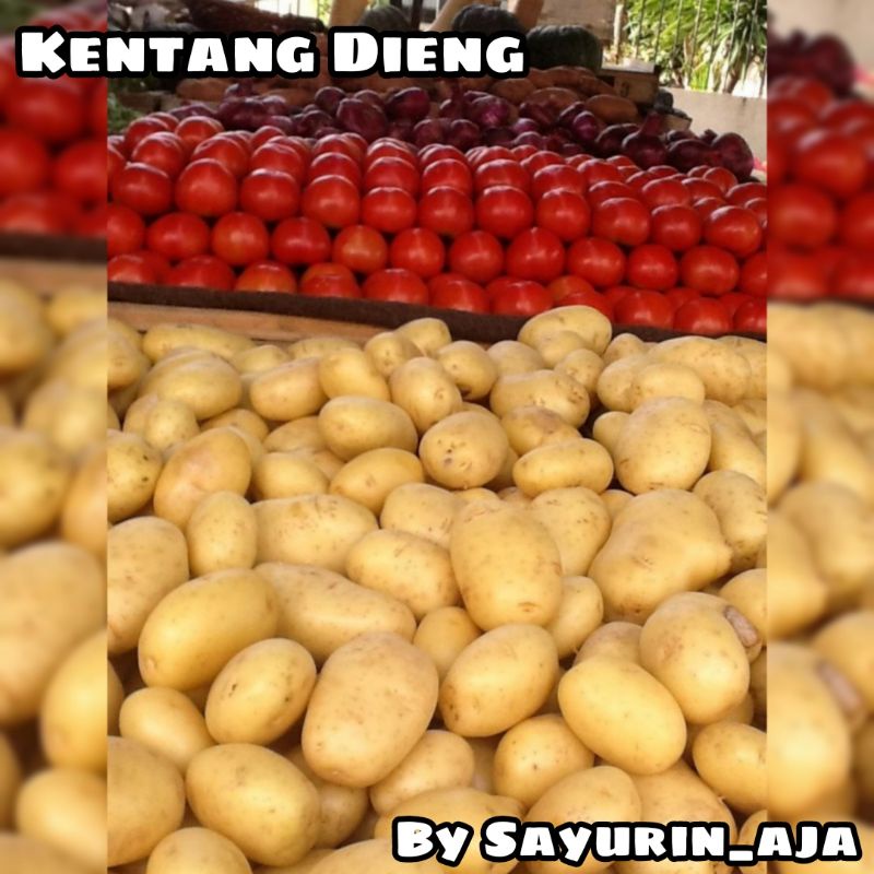 Jual Kentang Dieng 250gr Shopee Indonesia