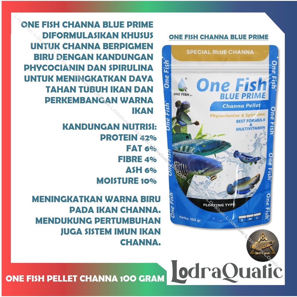 ONE FISH PELET CHANNA PELET BOOSTER WARNA CHANNA ANTI STRESS PAKAN IKAN CHANA PULCHRA AURANTI ASIATICA YS ANDRAO  KHUSUS PROGRESS CHANA PREMIUM RED PREMIUM BLUE PREMIUM YELLOW