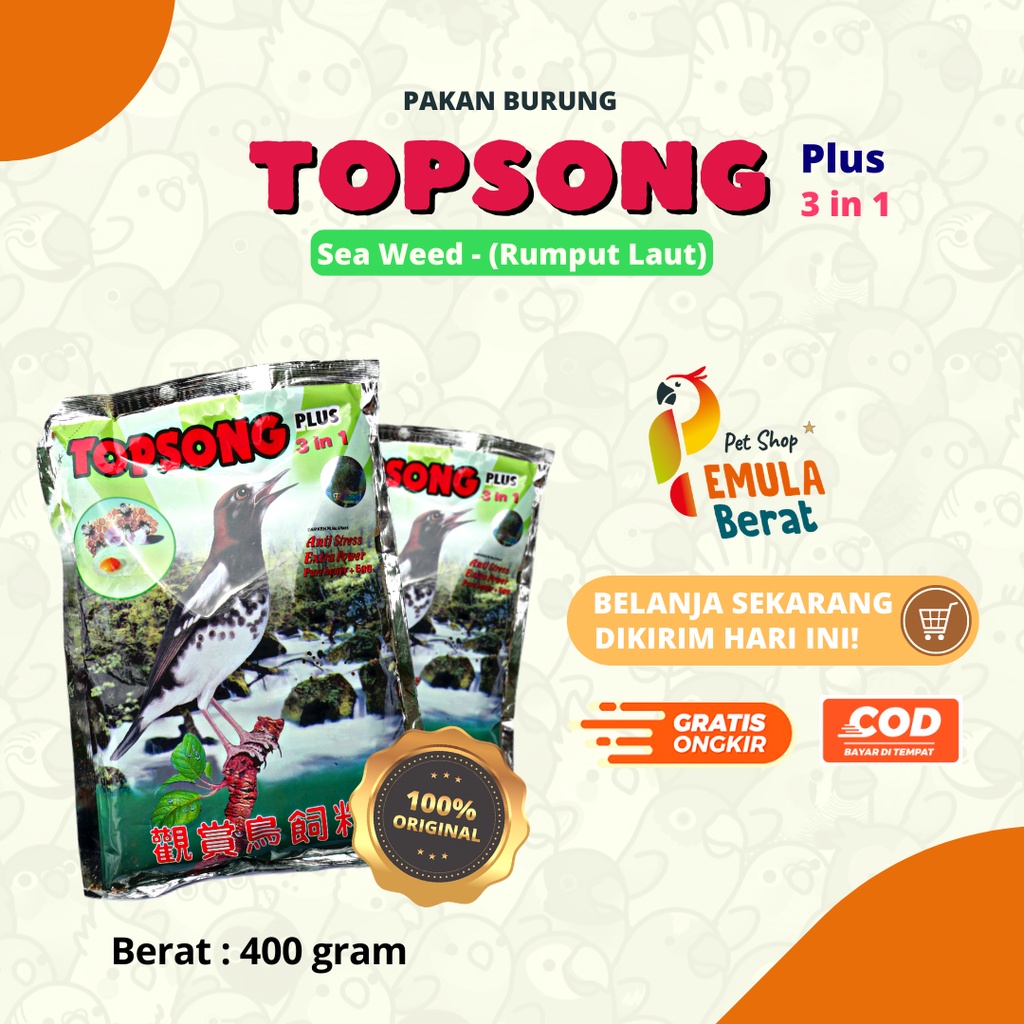 PAKAN BURUNG VOER TOPSONG RUMPUT LAUT POR TOPSONG RUMPUT LAUT PUR TOPSONG RUMPUT LAUT TOPSONG IJO