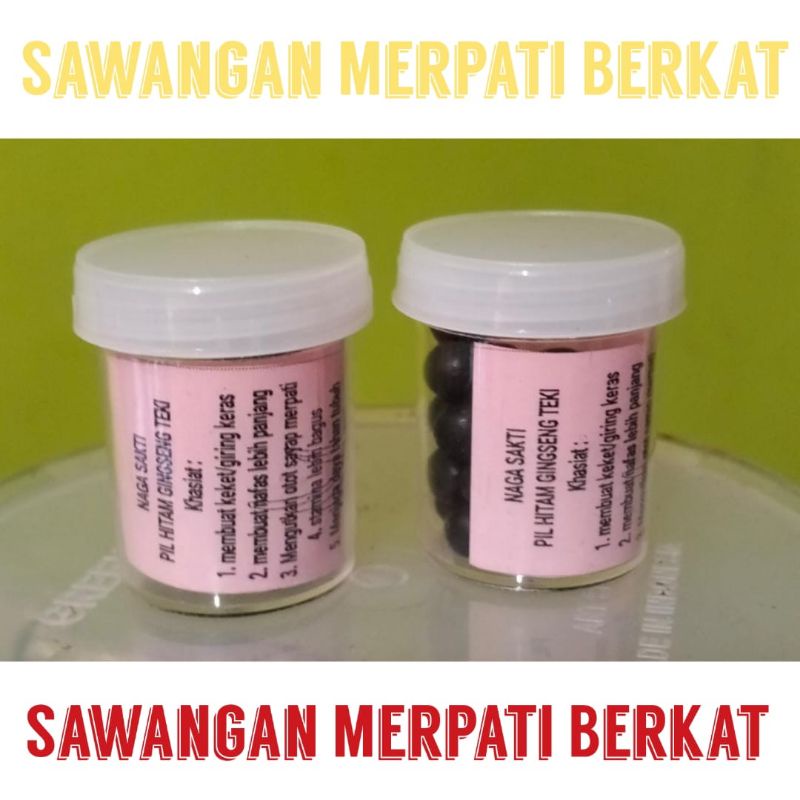 gingseng teki obat giring jamu keket stamina vitamin merpati