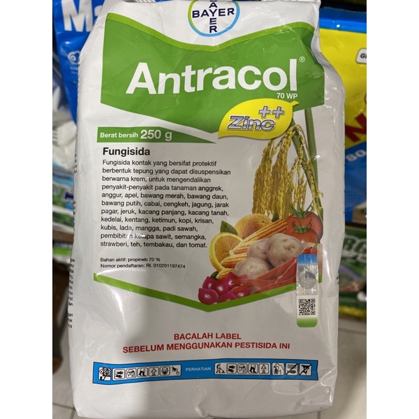 Antracol 250 gram