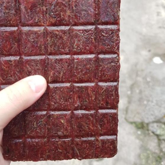 cacing darah,cacing darah beku,cacing beku