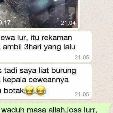 pil edan isi120 butir original merpati - Putih