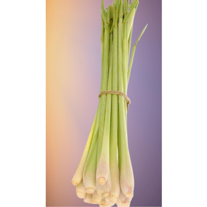 

( Per ikat ) ~ Sereh Serai per ikat