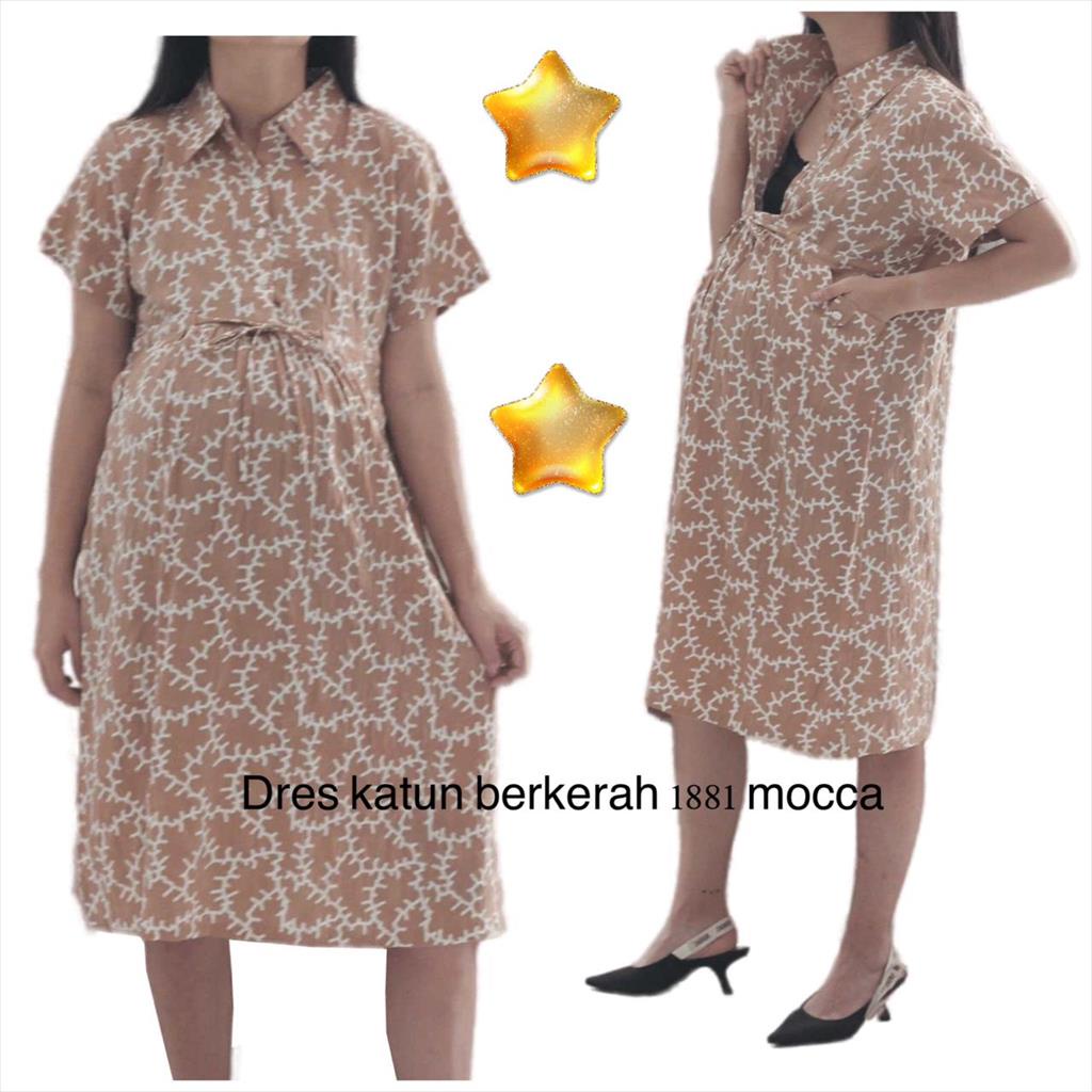 Dress Katun Berkerah 1881