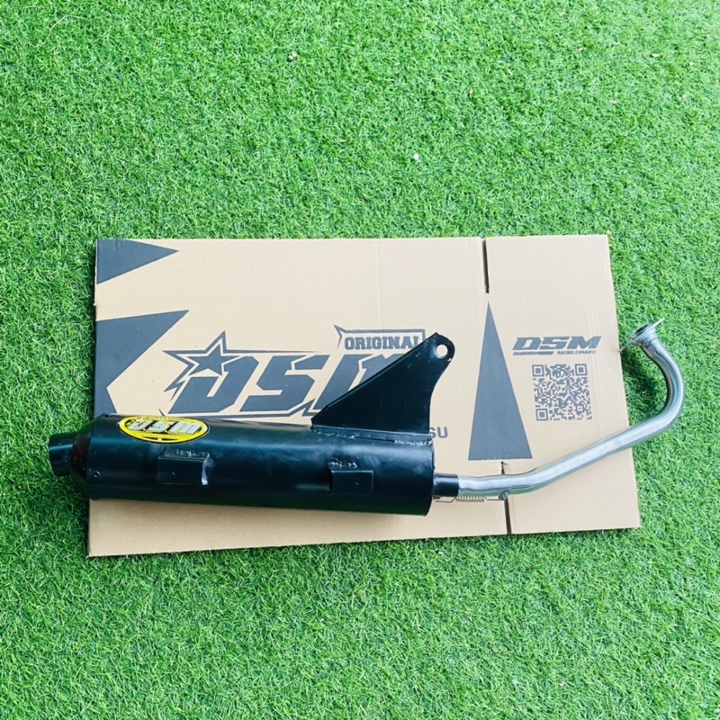 taukigi Dsm vario 110 original free kardus dsm original