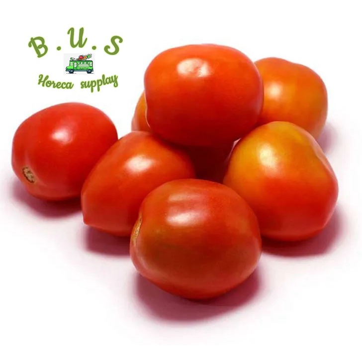 

Tomat Merah 1 Kg B.U.S