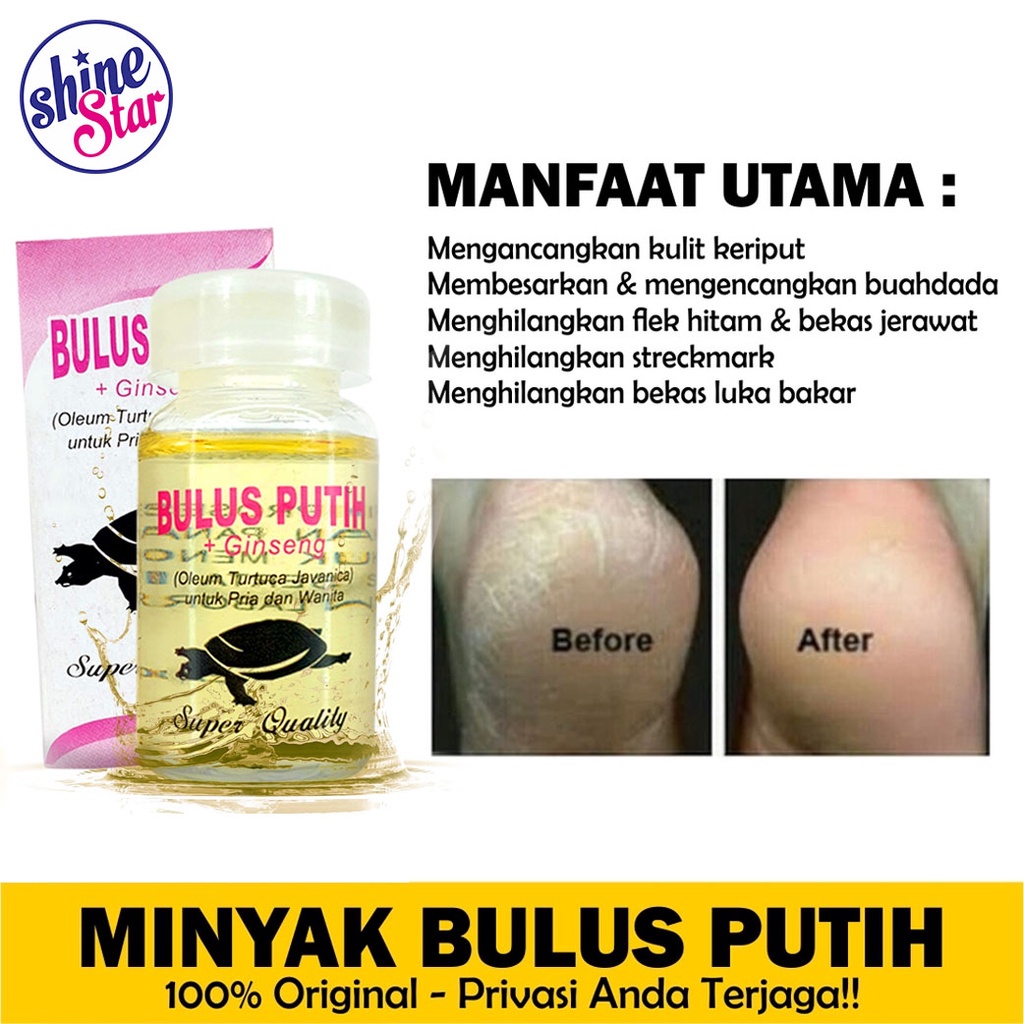 PROMO MINYAK BULUS PUTIH ORI ASLI ORIGINAL BISA COD