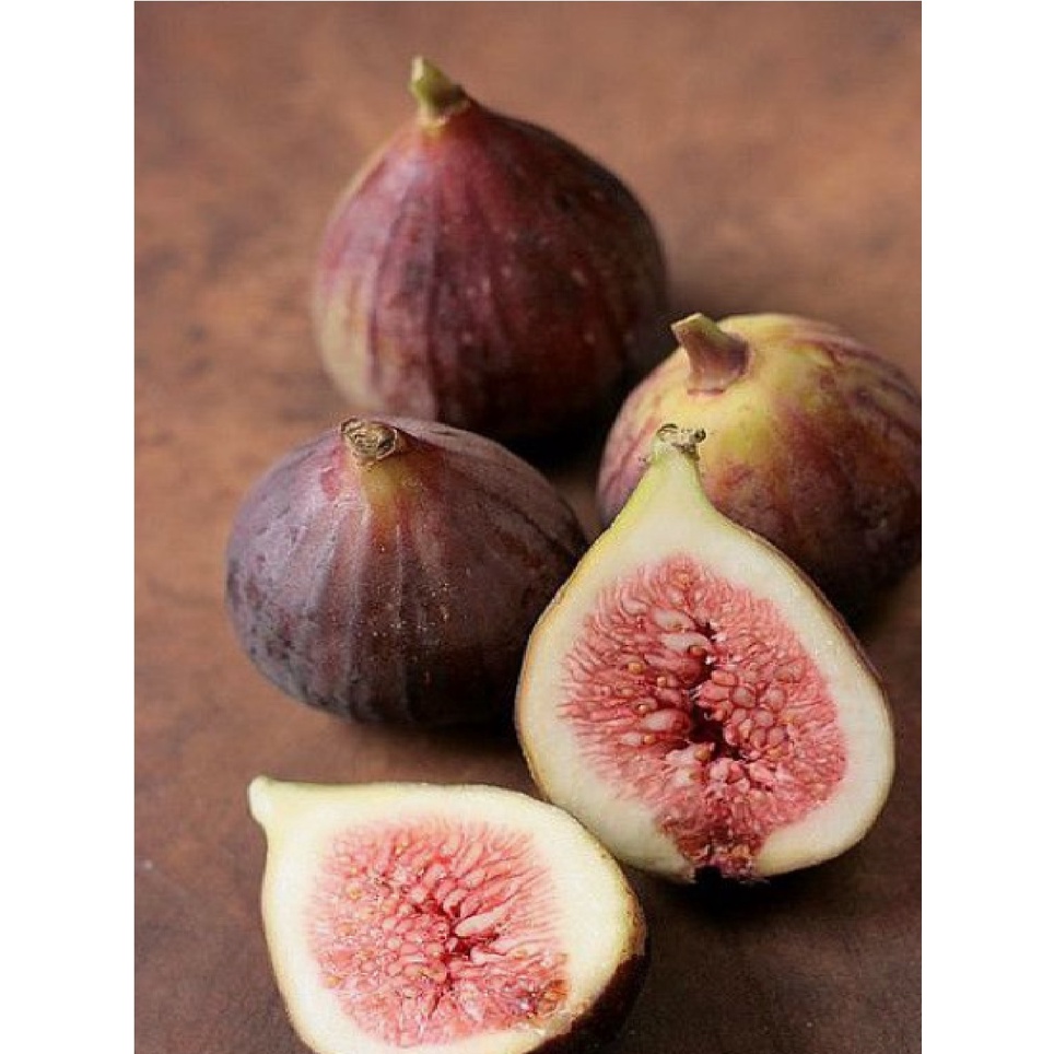 

BUAH TIN SEGAR FRESH DI PETIK DARI KEBUN (JENIS ACAK)