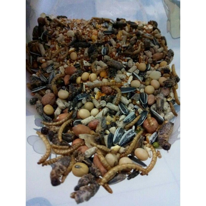 1kg Makanan Hamster Biji-Bijian Mix dengan Ulat dan Jangkrik Kering High Protein Hamster Food Murah