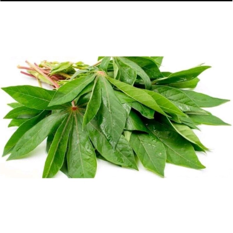 

daun singkong