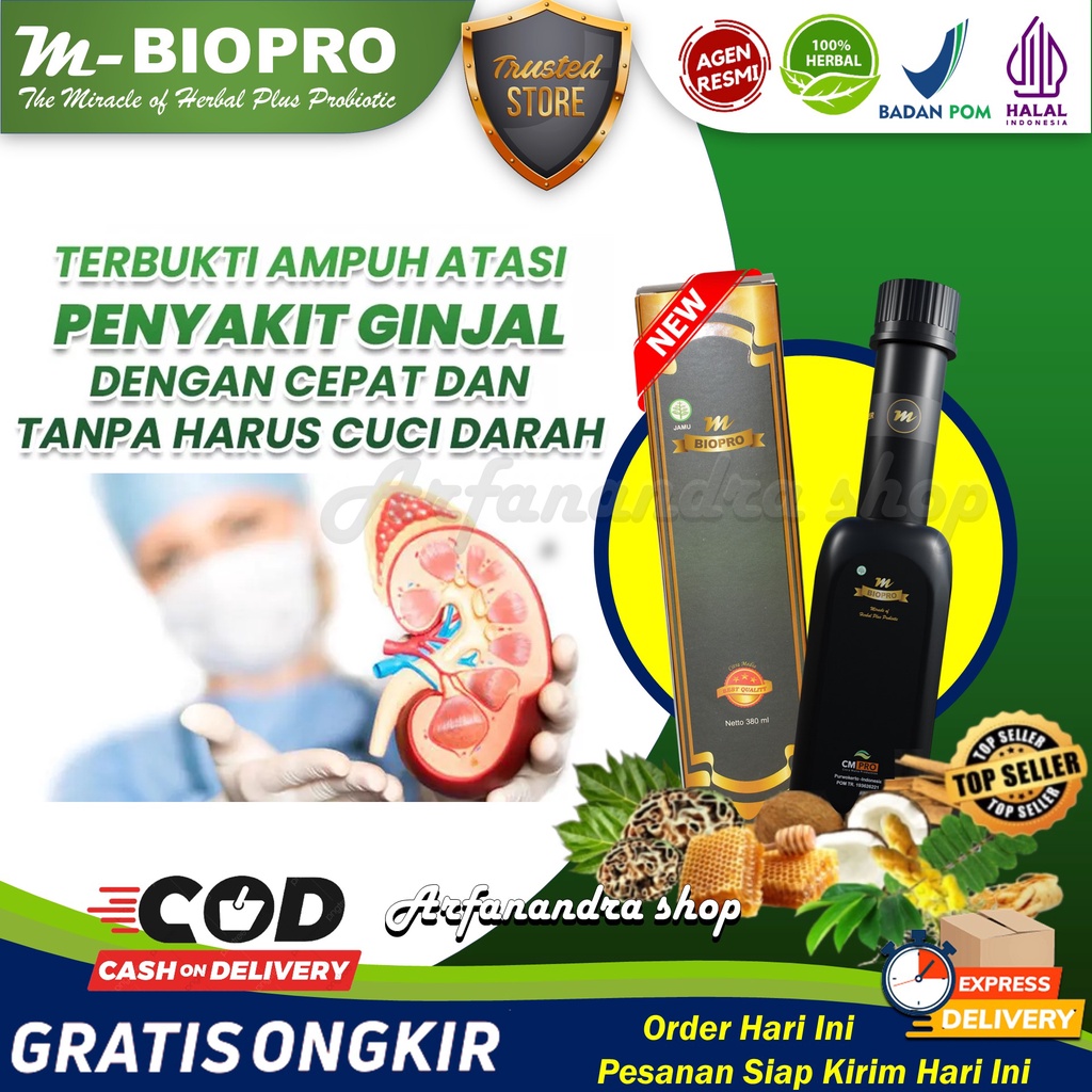 Obat Batu Ginjal Herbal Gagal Ginjal Ampuh Tanpa Cuci Darah, Atasi Infeksi Ginjal Bengkak Terampuh S