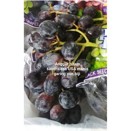 

buah anggur hitam sandraless buah