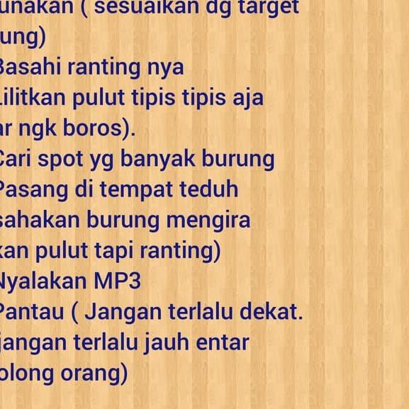 PULUT BURUNG KILOAN JEBAKAN BURUNG LEM BURUNG GETAH KARET JEBAK BURUNG