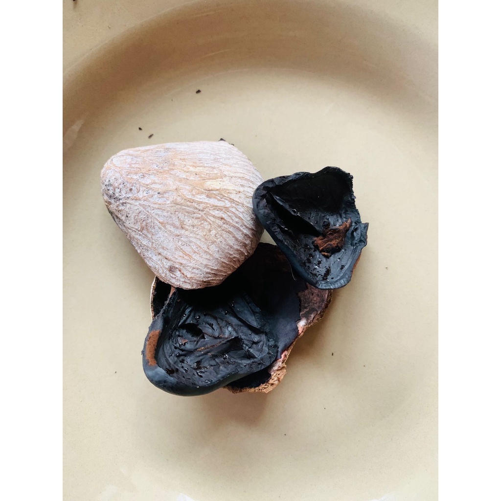 

Kluwak-Kluwek-Picung-Kepayang 1 KG isi Banyak