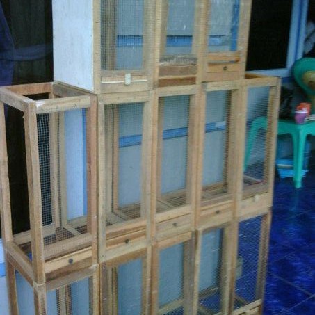 T0P KANDANG TOKEK HEWAN NICE