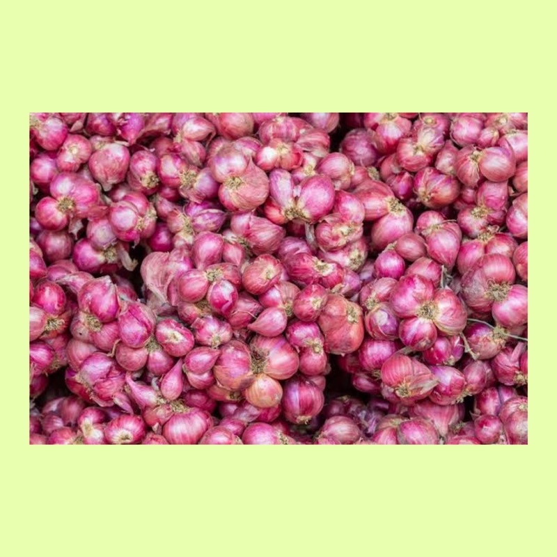 

Bawang merah / bawang merah brebes asli