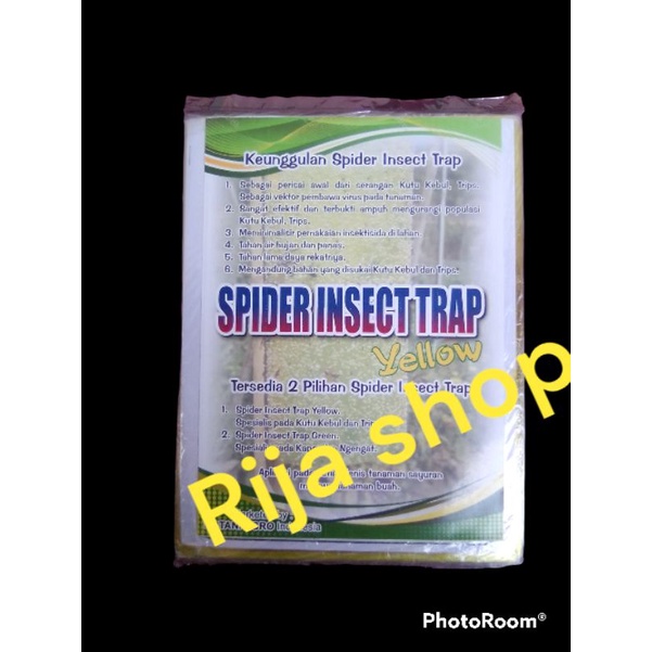 Spider Insect Trap Kuning 100 lembar