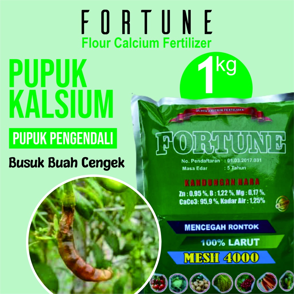 PUPUK KALSIUM FORTUNE 1 KG obat no patek untuk cabe - obat patek cabai - obat kriting cabe - obat ca