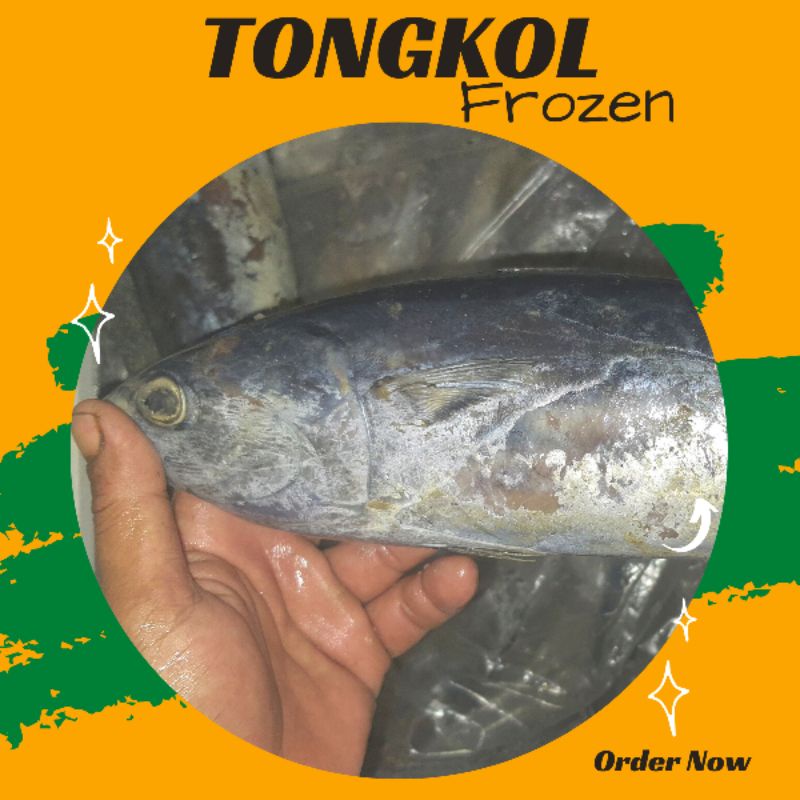 Jual Ikan Tongkol Segar Tongkol Beku Tongkol Frozen 500 Gram Dan 1