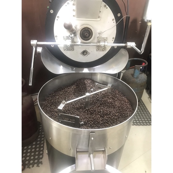 

kopi gayo robusta