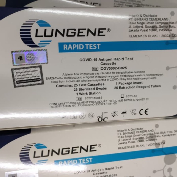 Swab Test Lungene Kemenkes Lot Terbaru