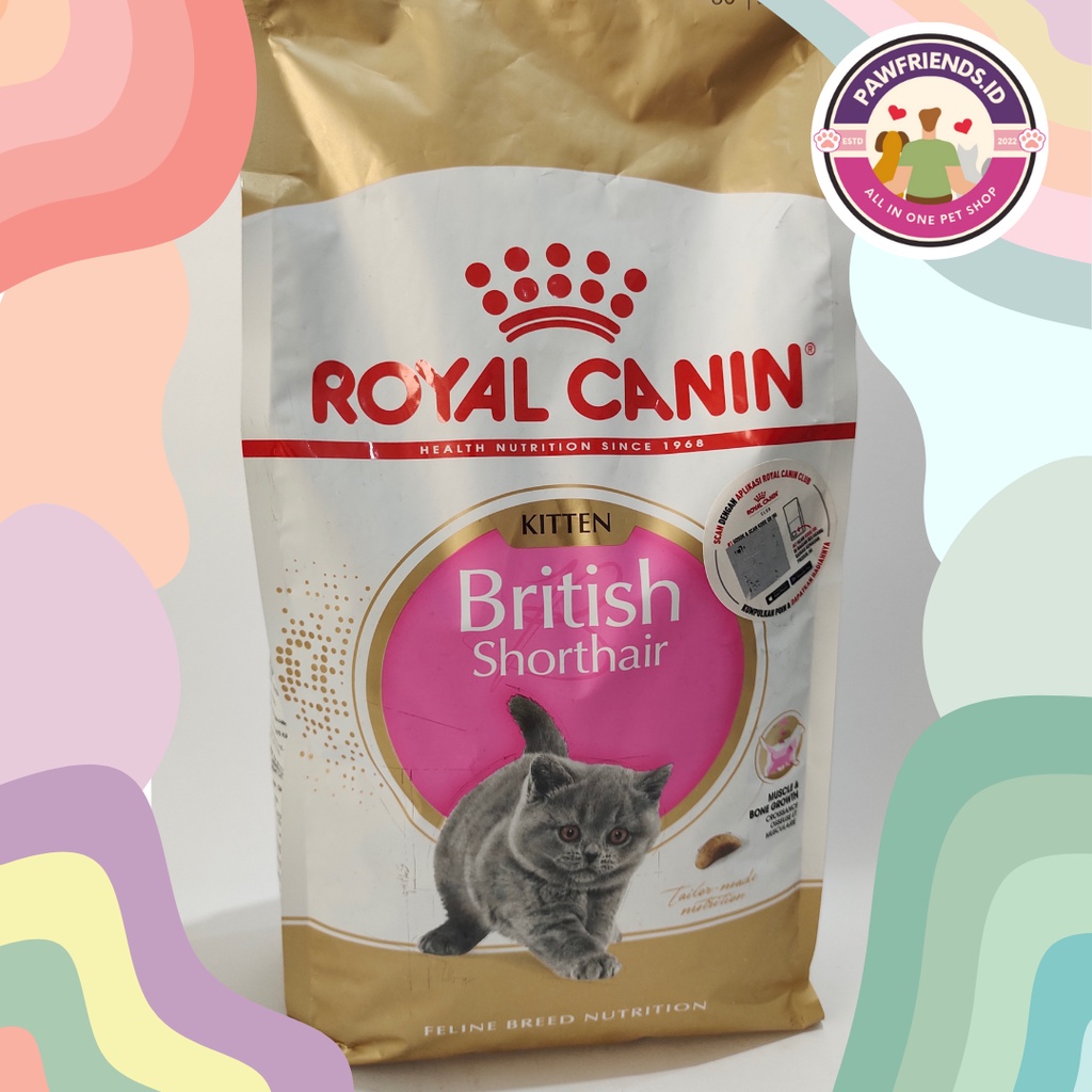 Royal Canin British Short Hair (BSH) Kitten 2KG